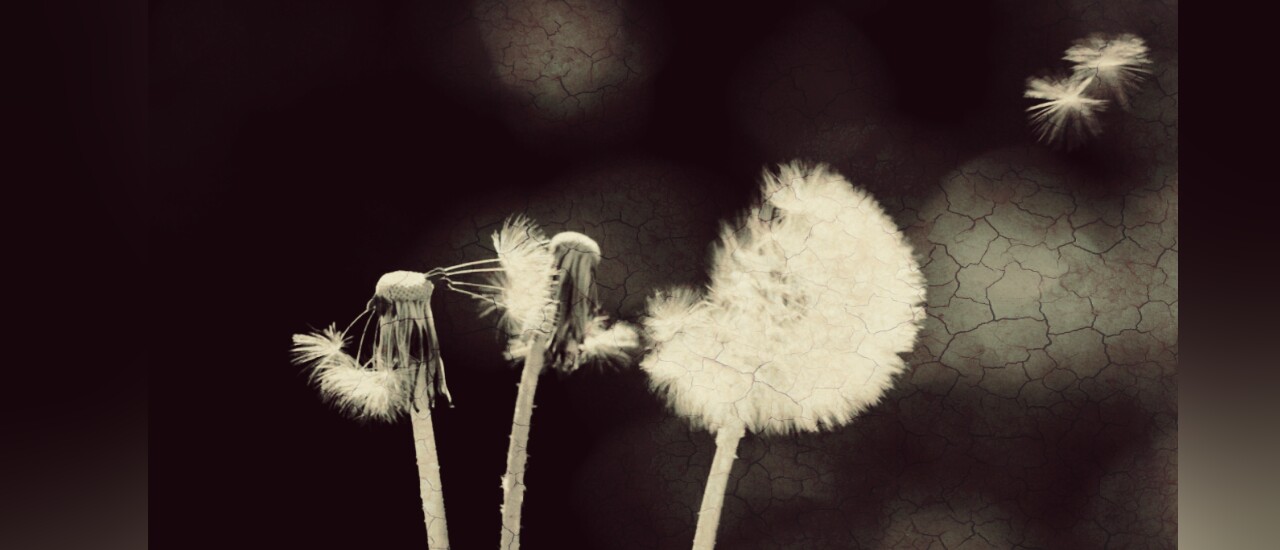 Il diritto di sentirmi fragile