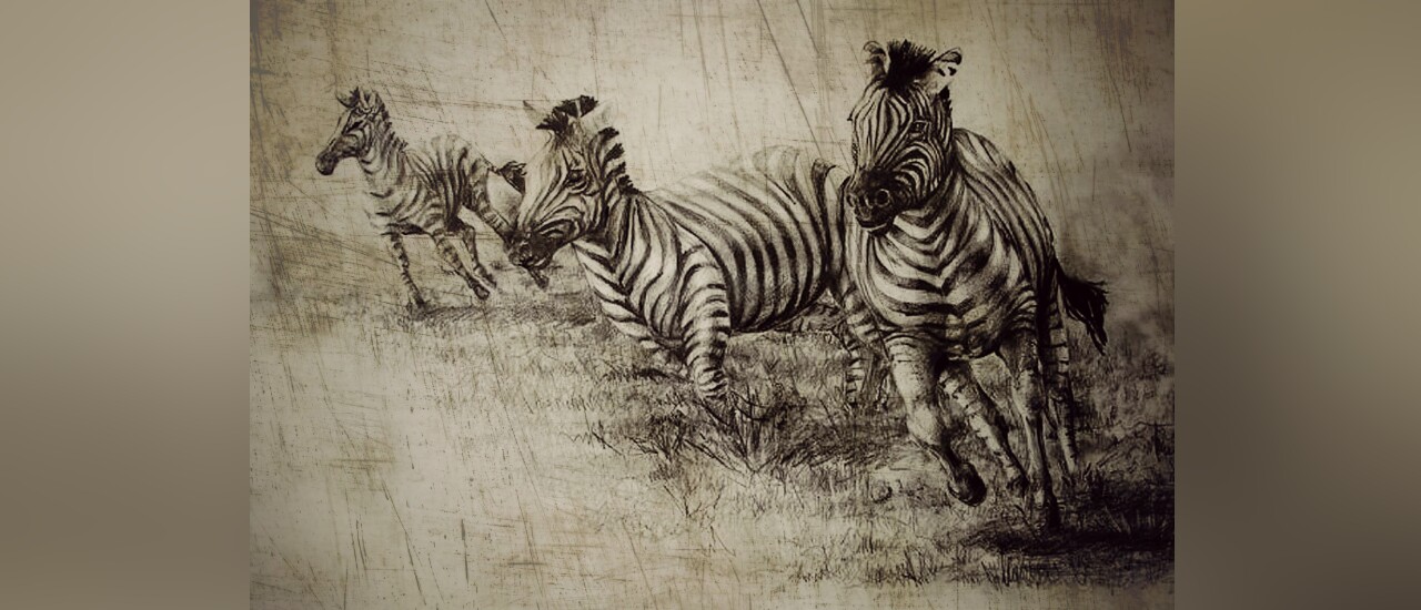 La pagina del diario di una Zebra